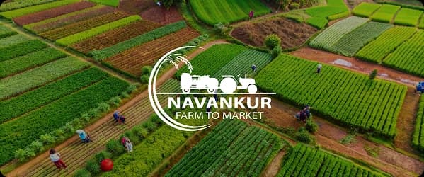 Boosting Sustainable Growth in Agriculture